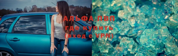 стафф Бородино