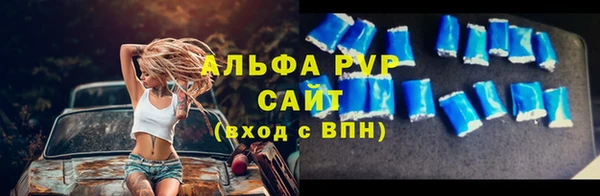 стафф Бородино