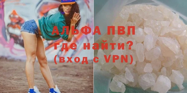 стафф Бородино