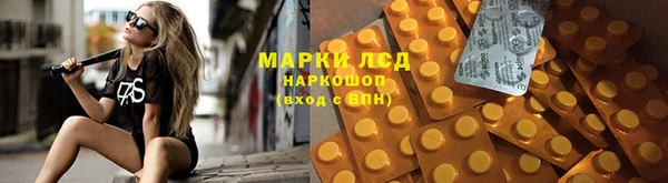 гидропоника Семёнов