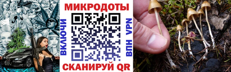 Псилоцибиновые грибы Magic Shrooms  Туран 